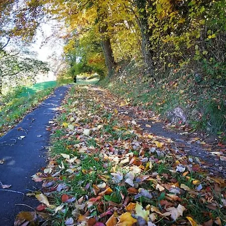 Swisshut Modern 5min West Station - Apart. Rugen 1 * インターラーケン