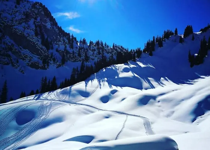 Swisshut Modern 5min West Station - Apart. Rugen 1 Holiday home *