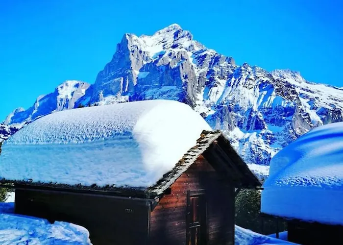 Holiday home Swisshut Modern 5min West Station - Apart. Rugen 1